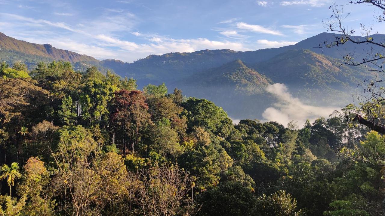 Green Tea View Муннар Екстер'єр фото